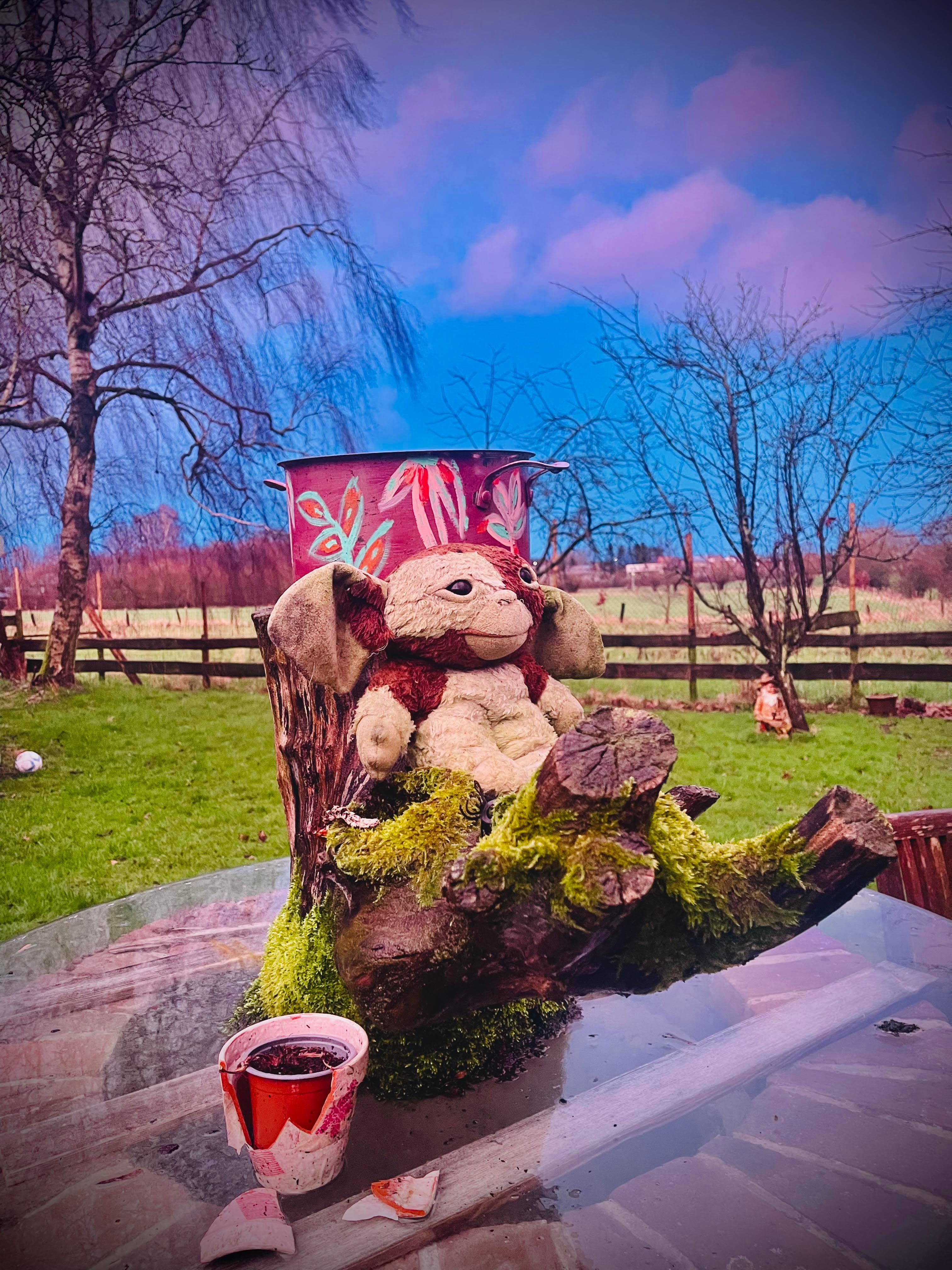 Sprookjesboom